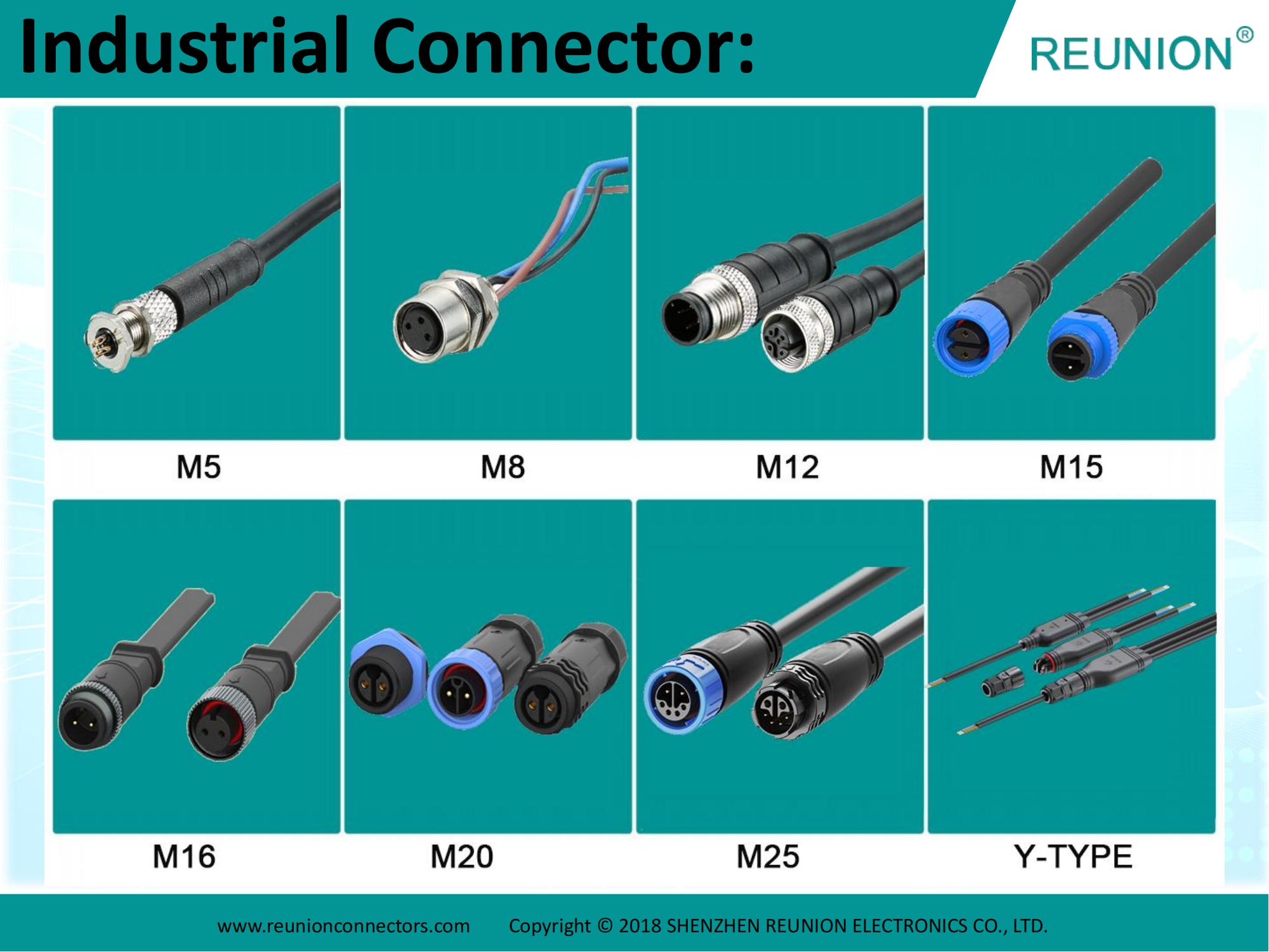 REUNION - Introduction 2024_13