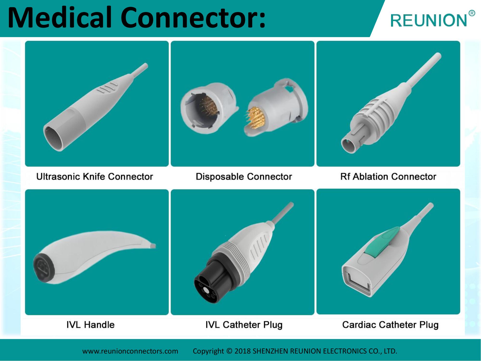 REUNION - Introduction 2024_11