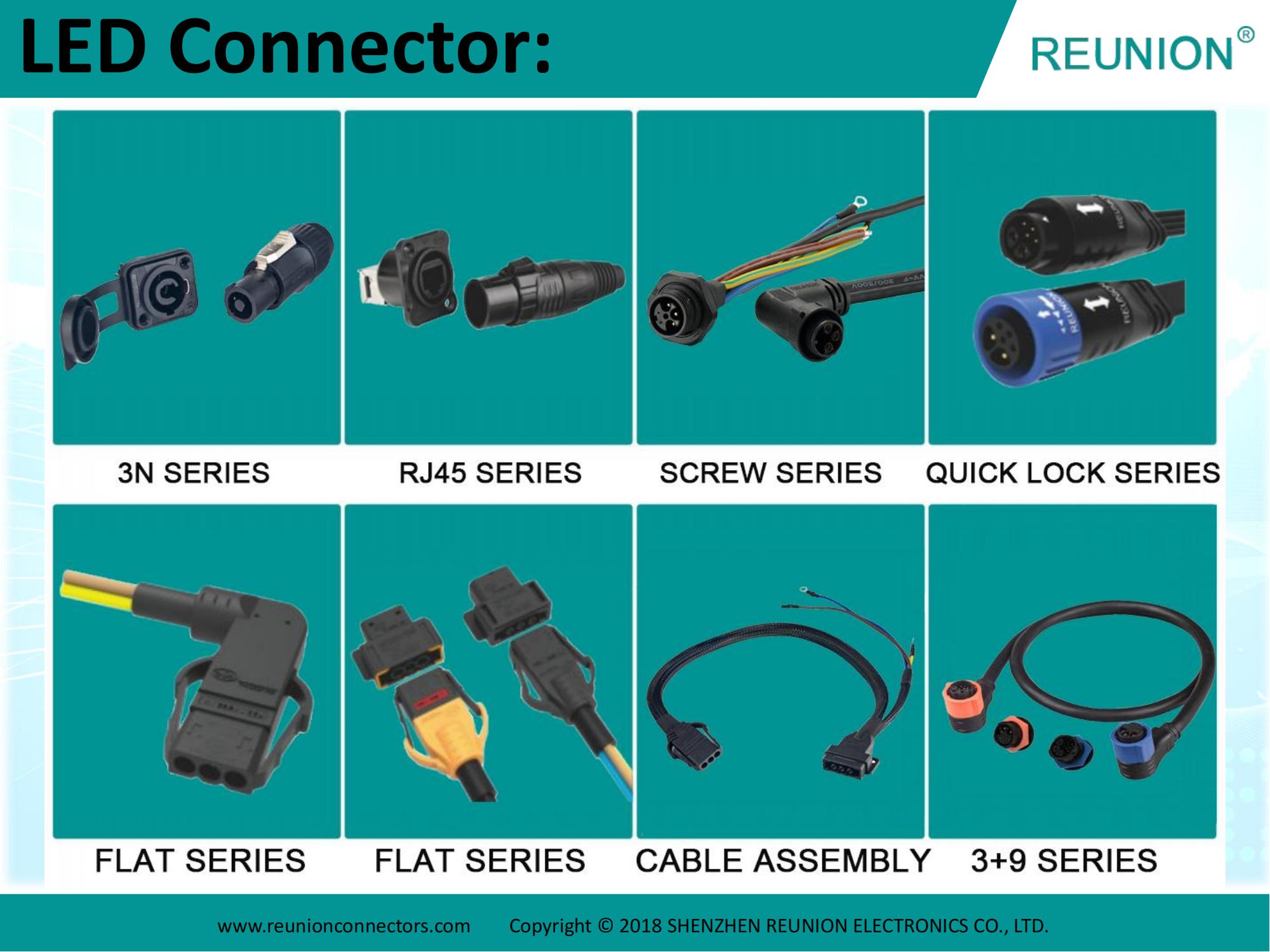 REUNION - Introduction 2024_12