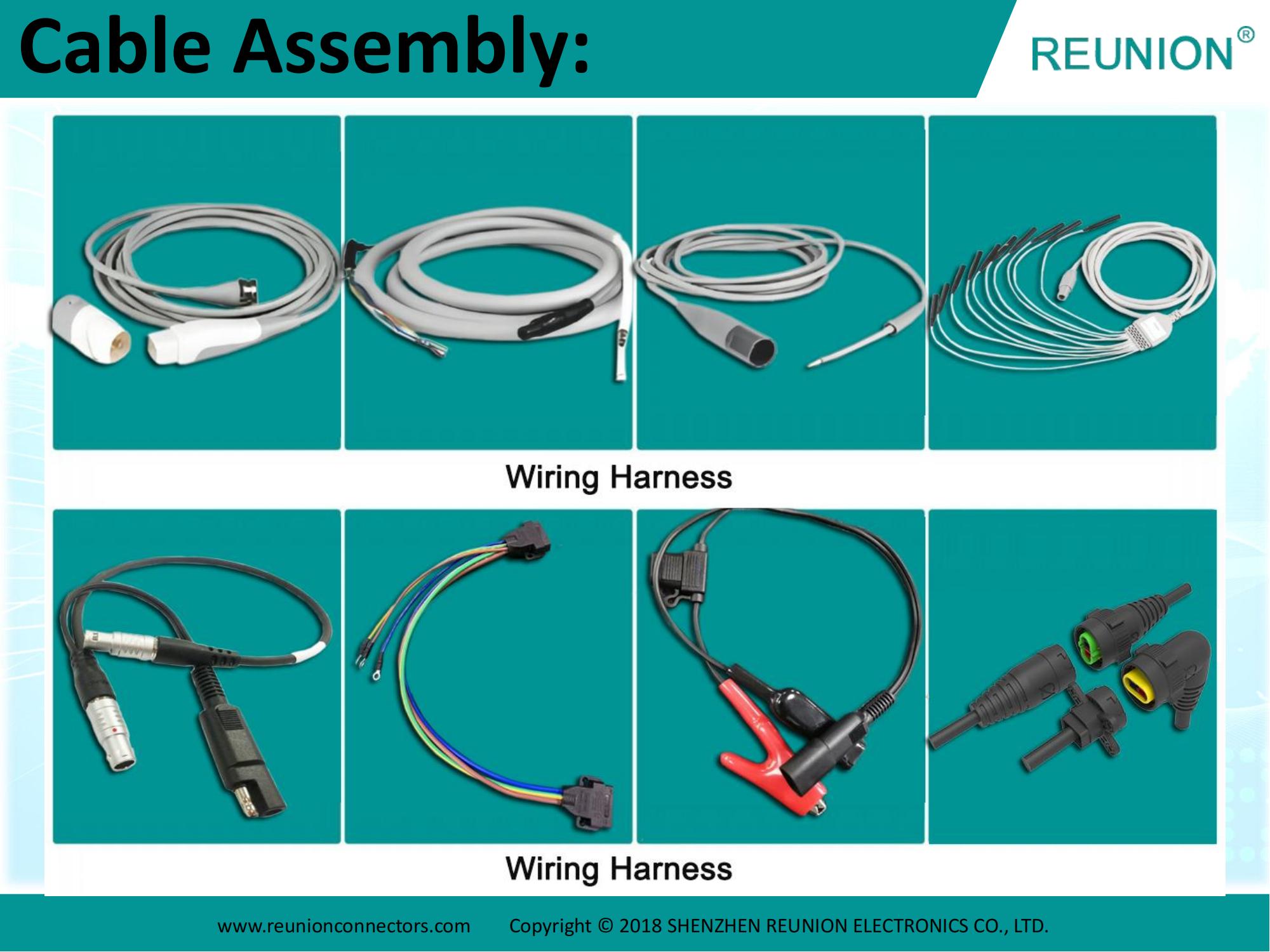 REUNION - Introduction 2024_14